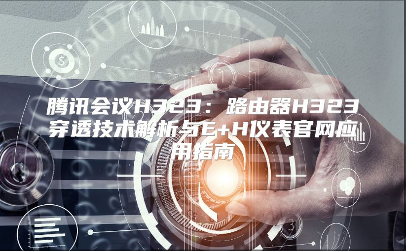 騰訊會議H323：路由器H323穿透技術(shù)解析與E+H儀表官網(wǎng)應(yīng)用指南